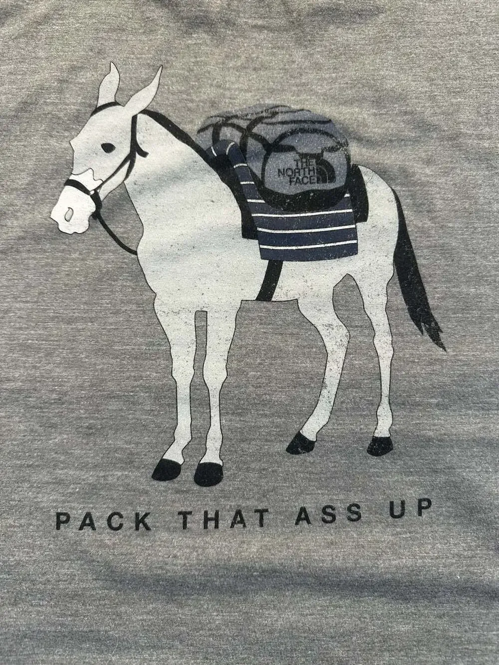 The North Face 'Pack That Ass Up' Graphic T-Shirt Gray Slim Fit Funny Classic